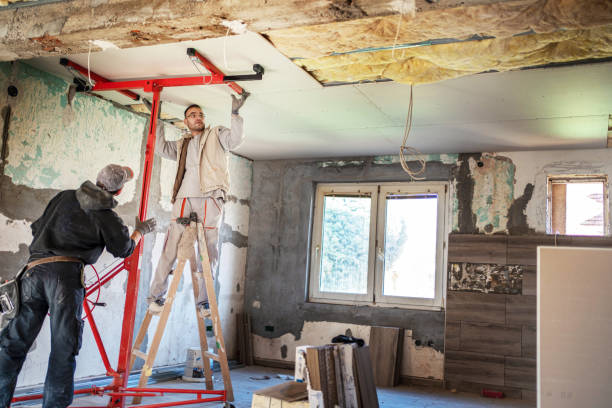 Best DIY Insulation Kits and Guidance in Evansdale, IA